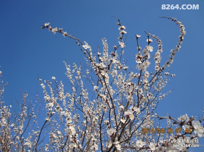 00328Ifxzy6Iezefz7X01&690.jpg