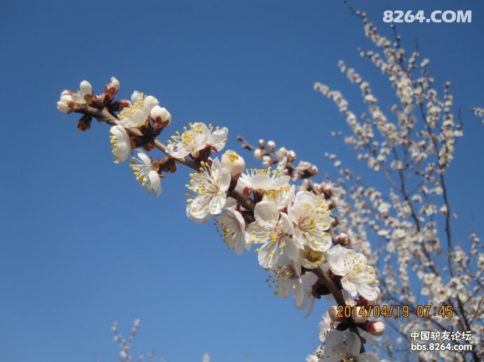 00328Ifxzy6Iezuqdoj47&690.jpg
