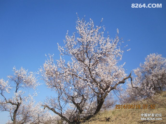 00328Ifxzy6IezMowfo9a&690.jpg