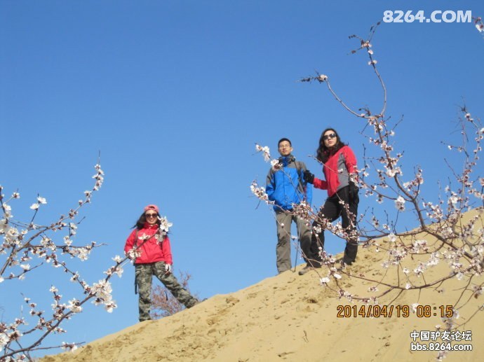 00328Ifxzy6If9qYyx2e8&690.jpg