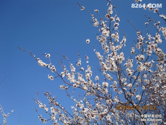 00328Ifxzy6If9dVKXpc3&690.jpg