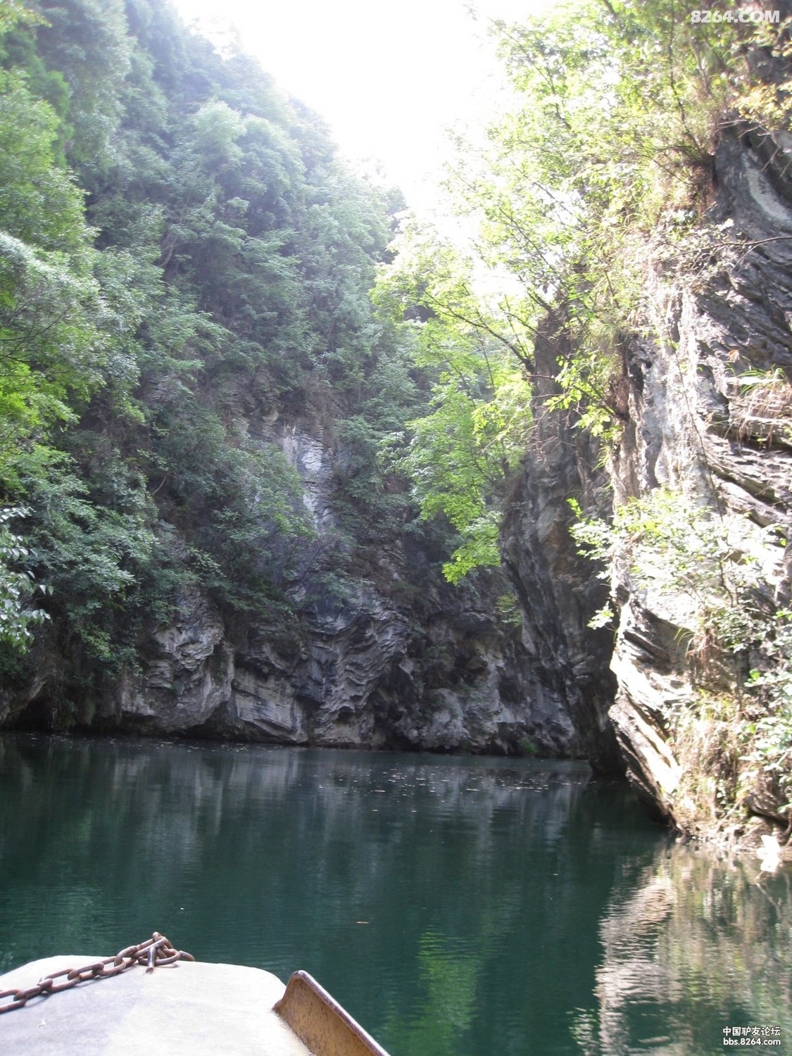 藏龙卧虎之金龙谷无鱼慎入