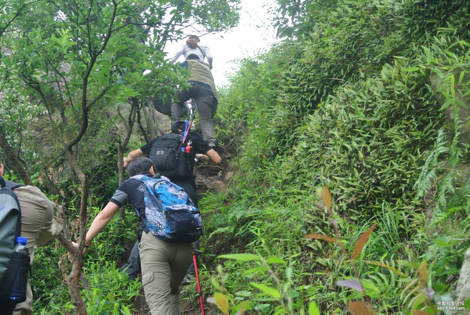 徒步树山,大阳山