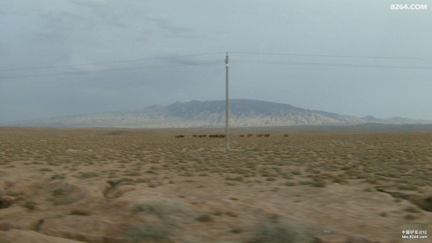 FILE0067.JPG