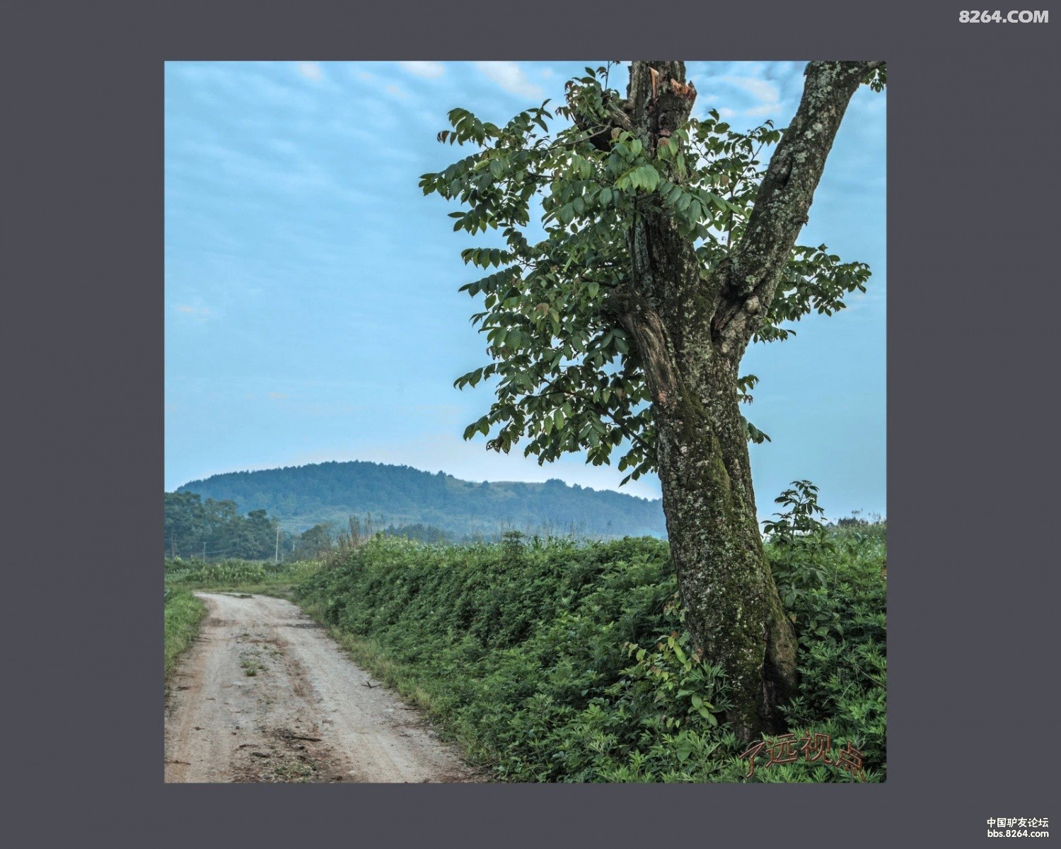 psb003.jpg