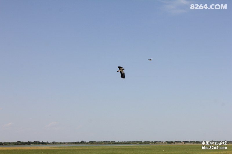 IMG_7120.jpg