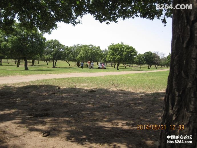 00328Ifxzy6JqubsP3aa0&690.jpg