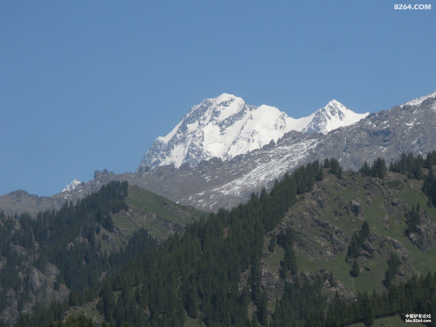 IMG_7969.JPG