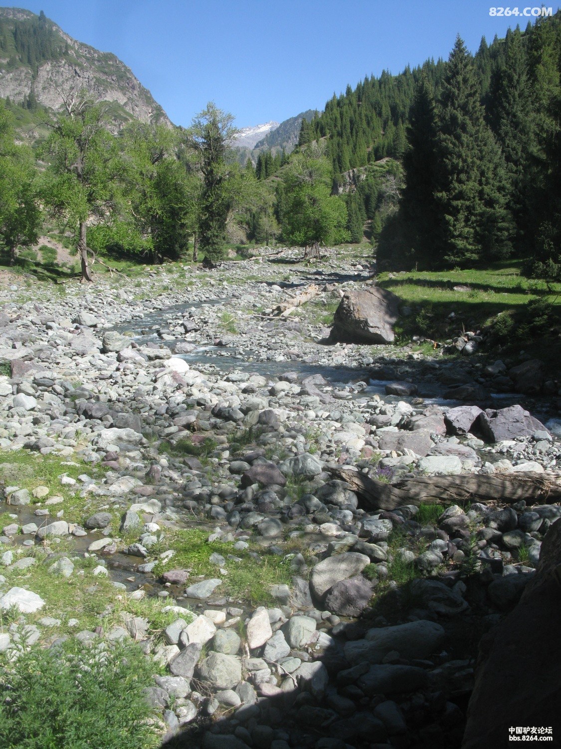 IMG_7988.JPG