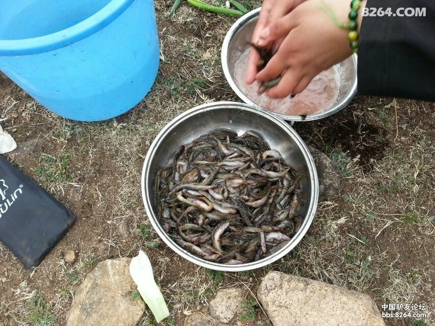 QQͼƬ20140611222100.jpg