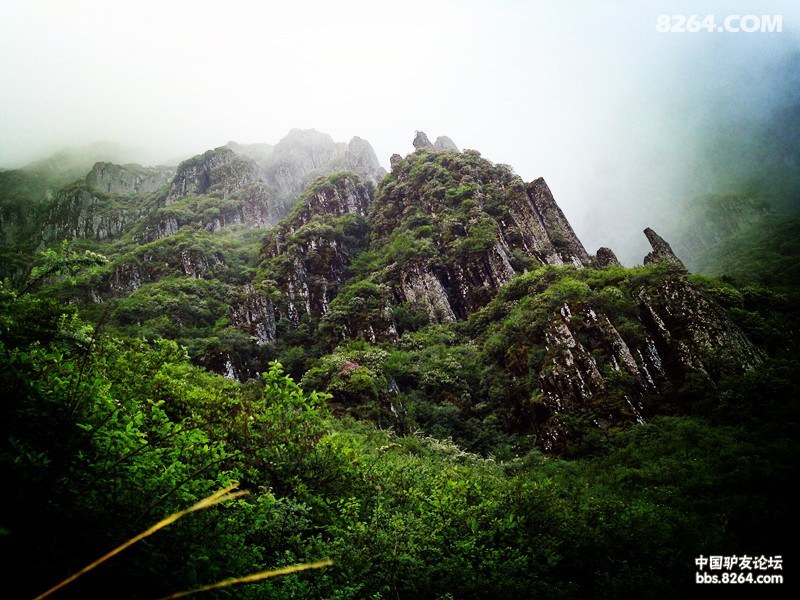 再登乌蒙山系最高峰大牯牛山