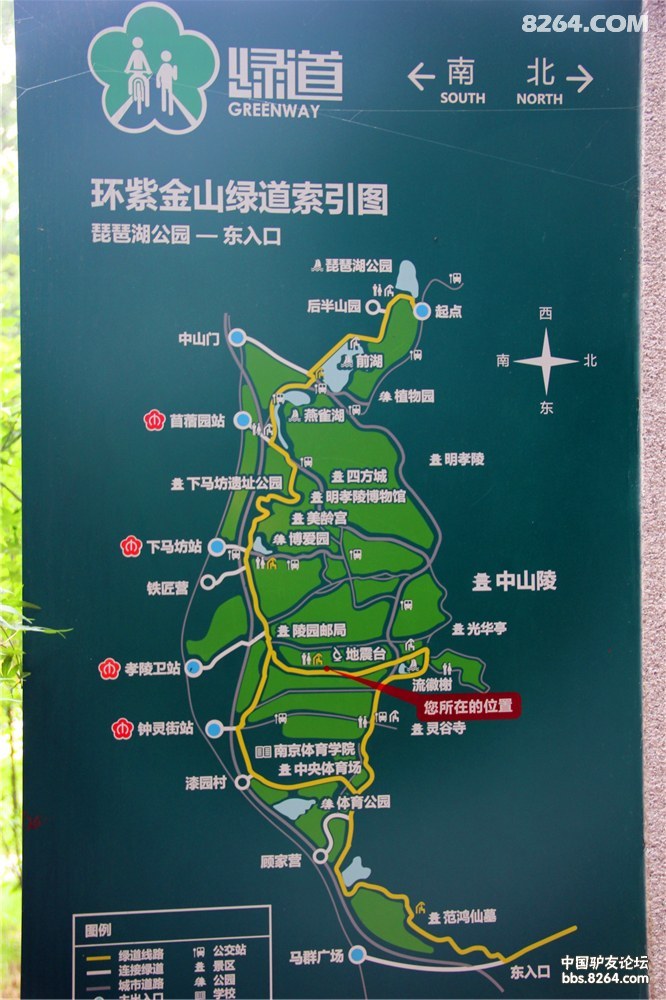 沿着紫金山绿道探寻钟山老城痕迹