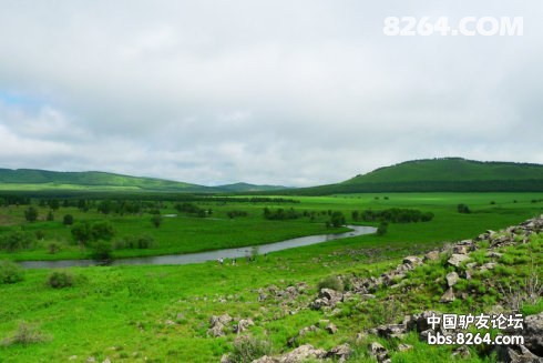 5d8134eft701dfb40950a&690.jpg