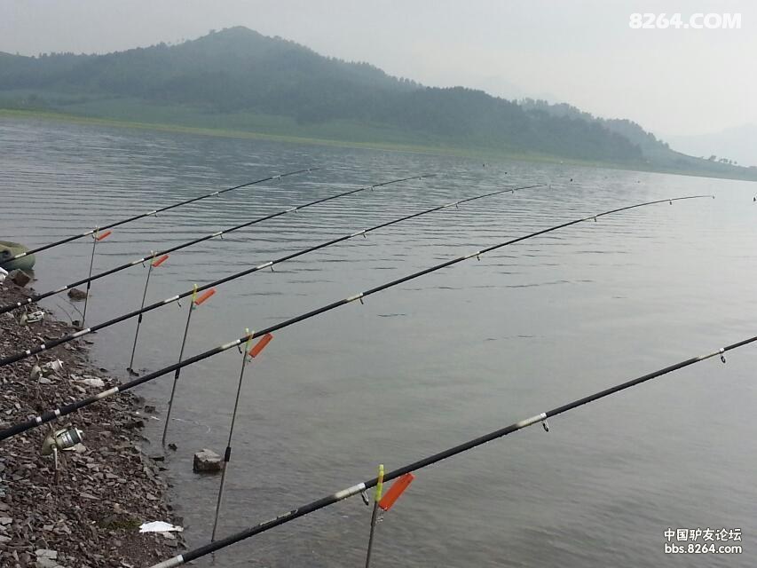 久违了汤河水库,我来了 - 第1页 - 钓鱼|水上 - 8264户外