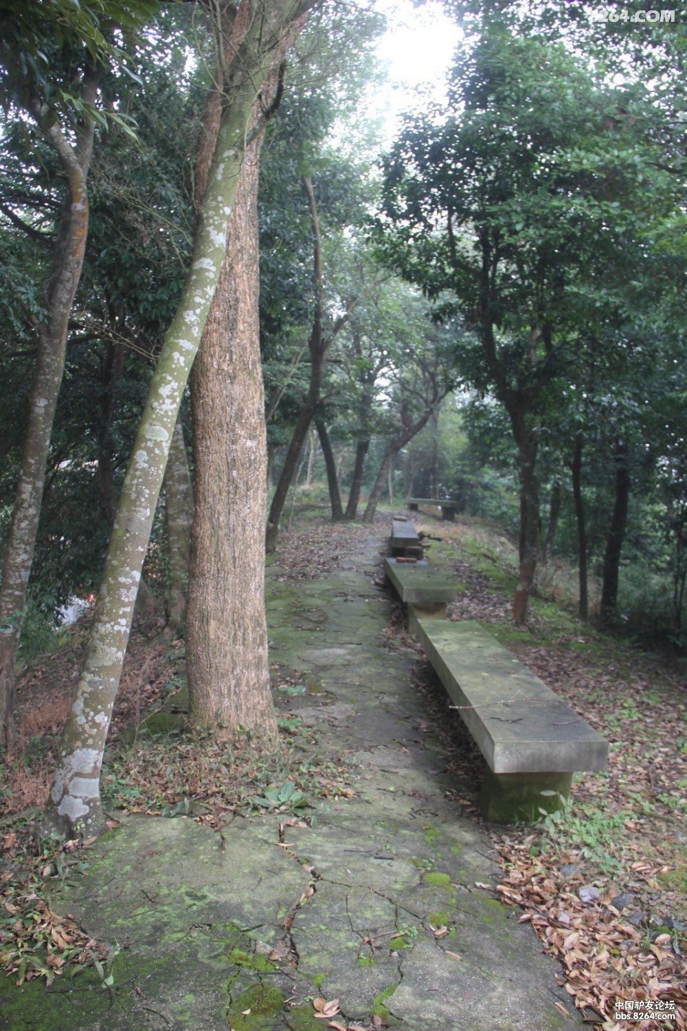 福鼎玉塘村随拍