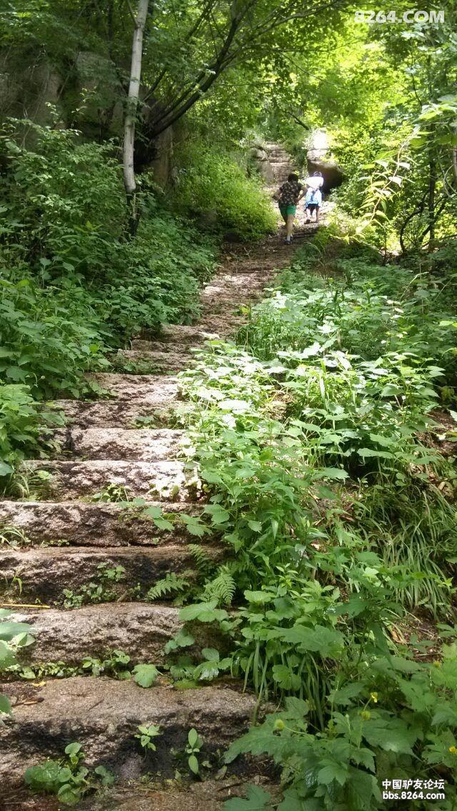 永久更新骑吧王温暖单车环中国后续一人一狗纯徒步拉萨