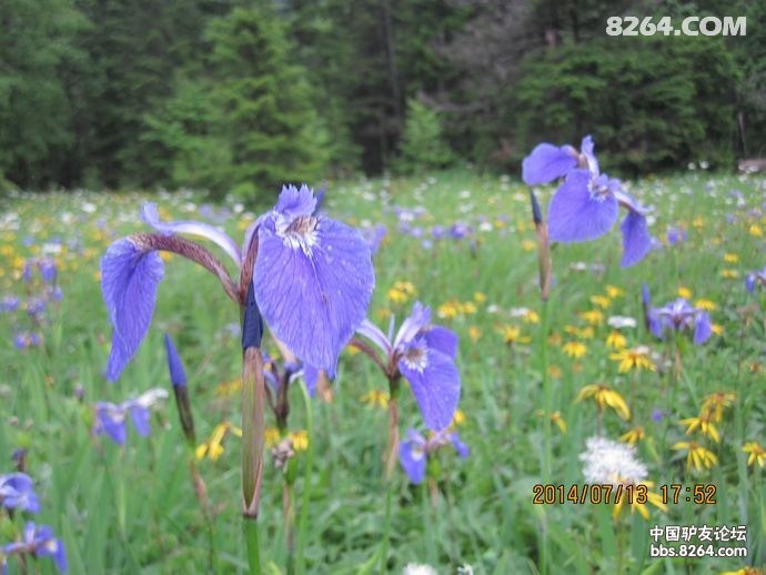 00328Ifxzy6KxqqOvdVeb&690.jpg