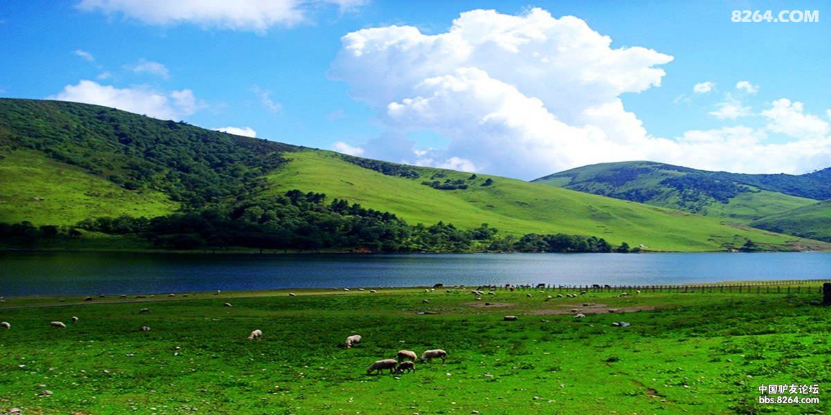 远山的呼唤塞外风情云上海口牧场