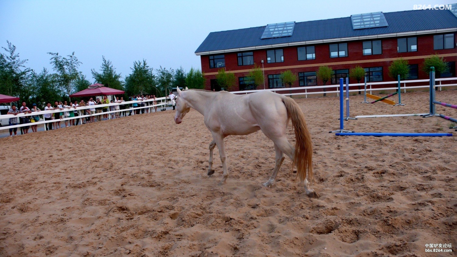P1040546.JPG