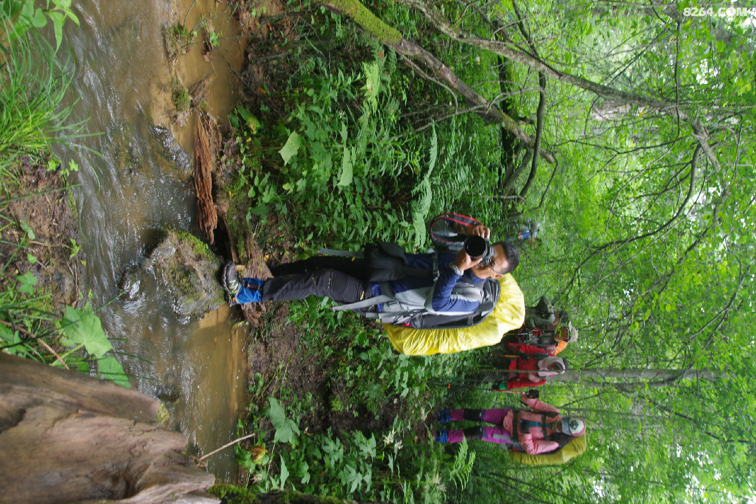 IMGP1366.JPG