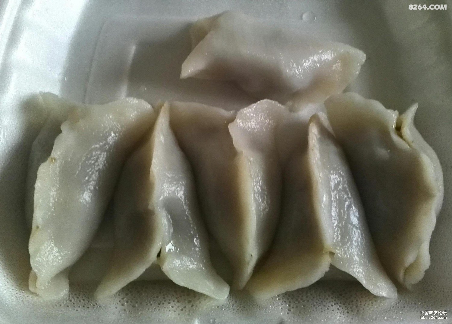 福建福鼎几种特色美食