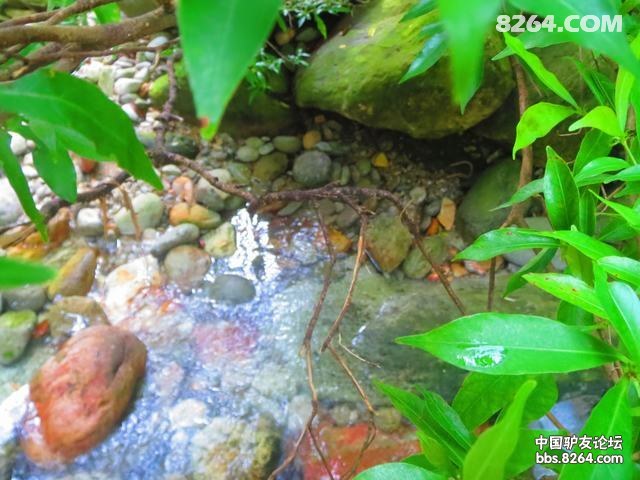 ��Ƭ 021.jpg