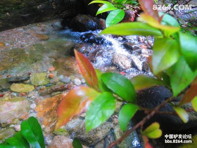 ��Ƭ 028.jpg