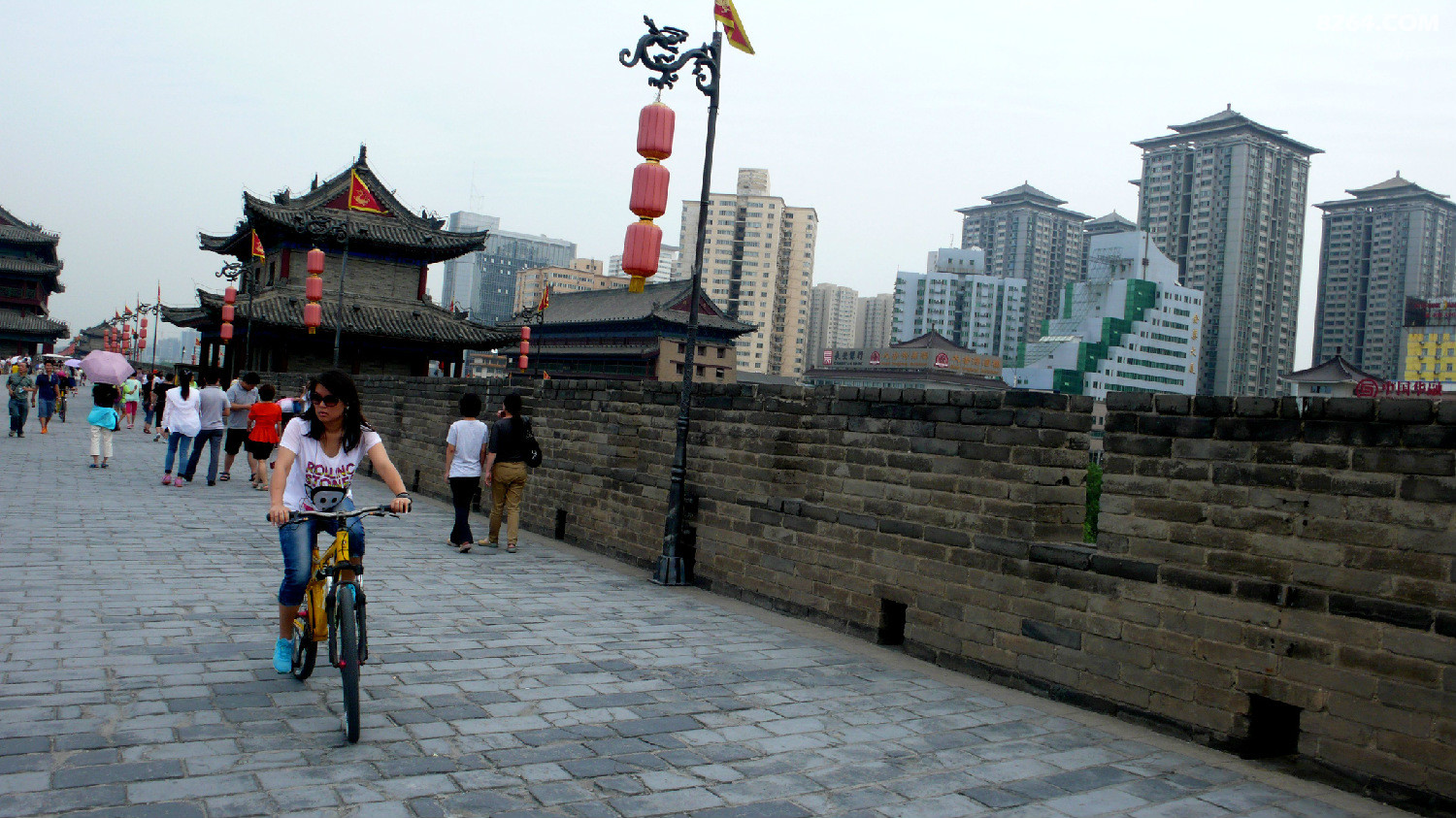 P1040767.JPG