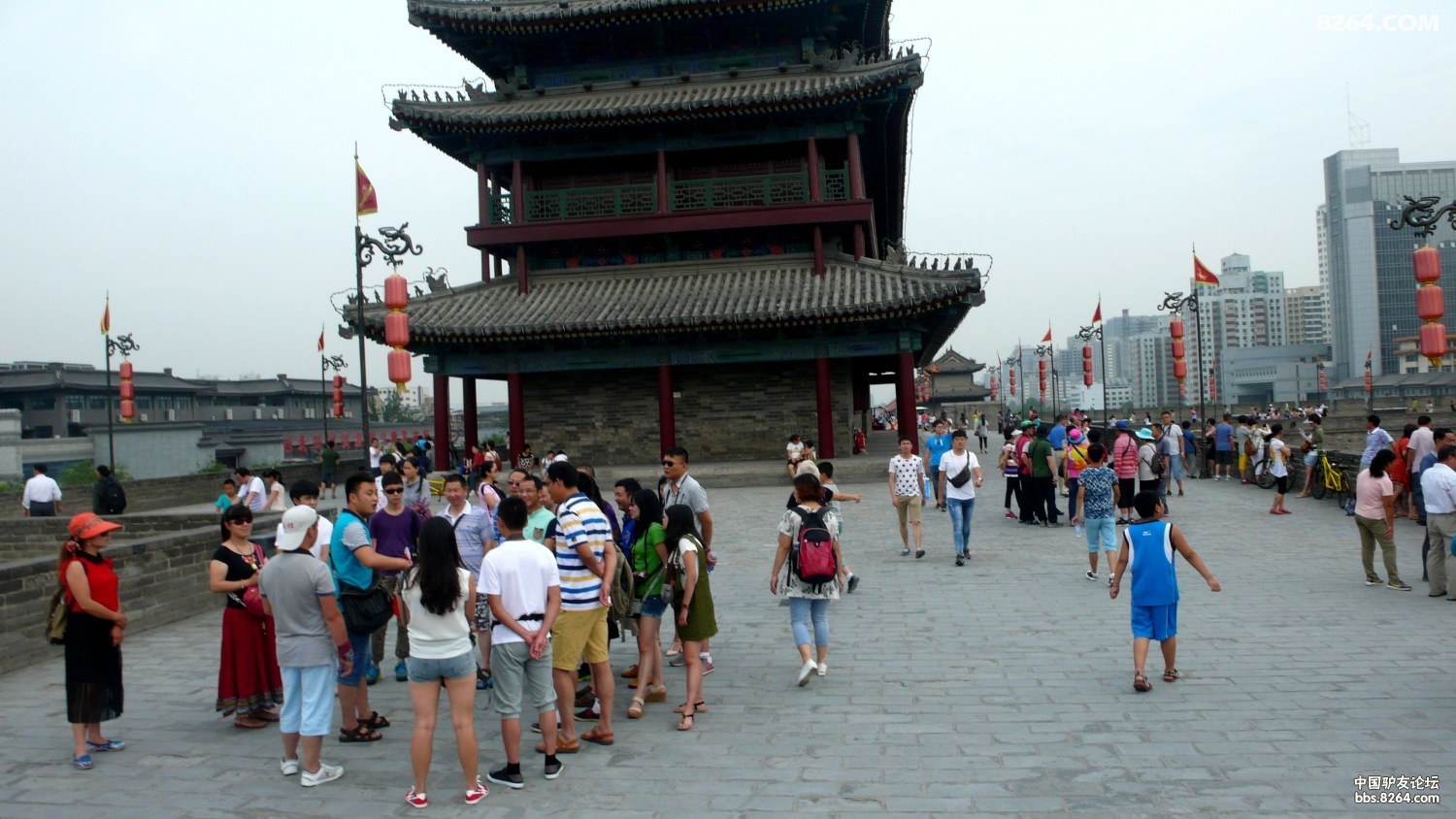 P1040769.JPG