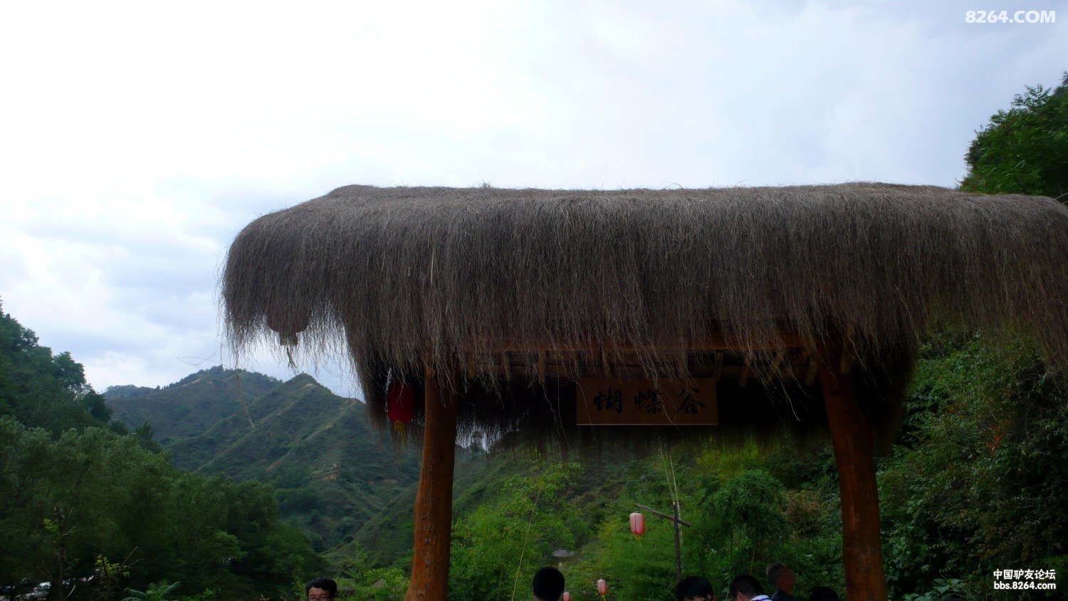 P1040770.JPG