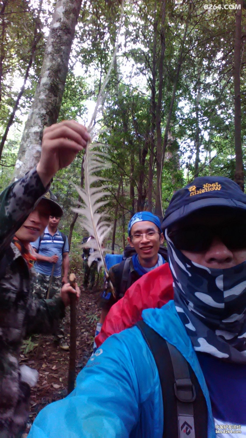 FILE0585.jpg