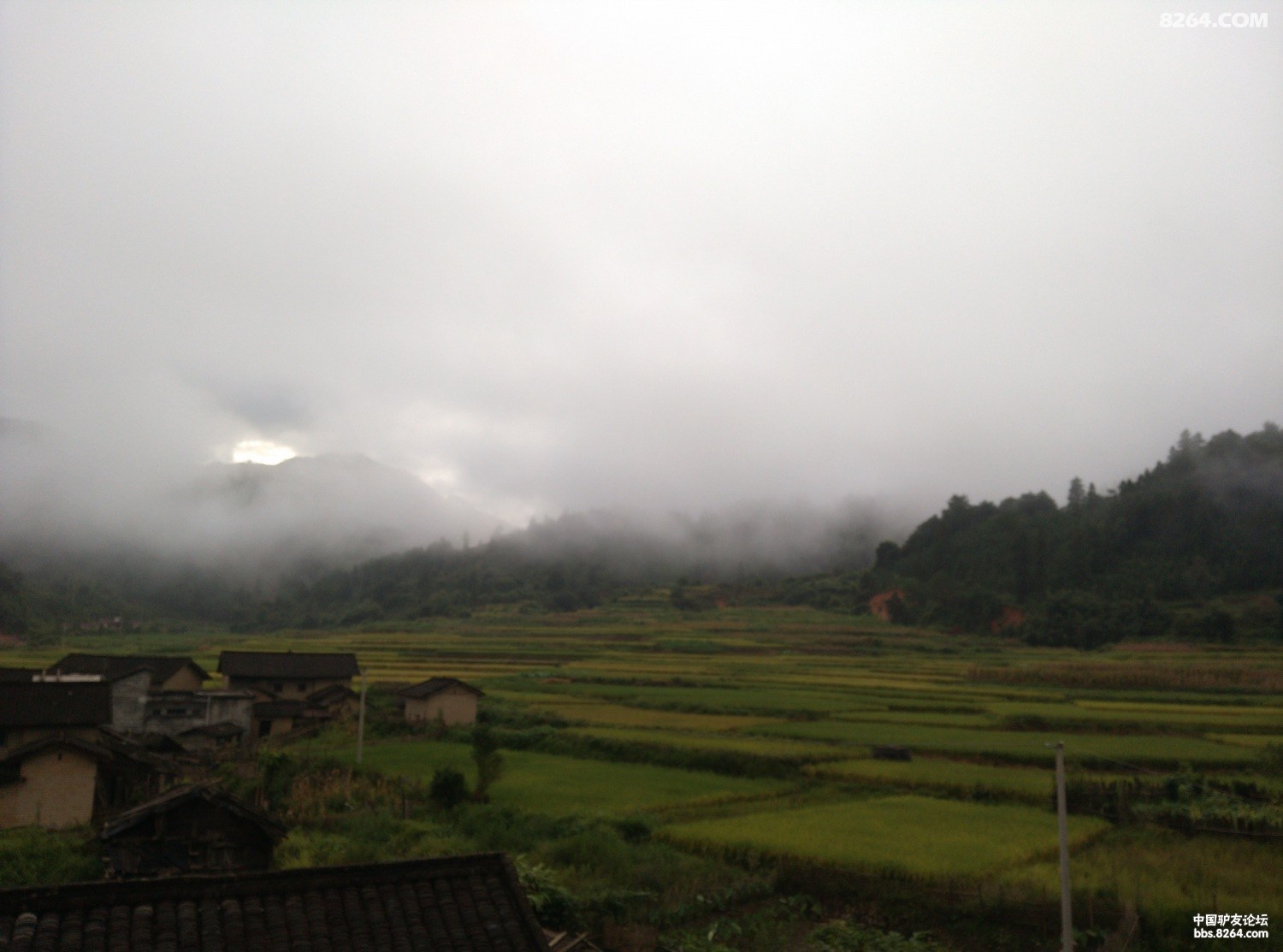 IMG_20140816_070952.jpg