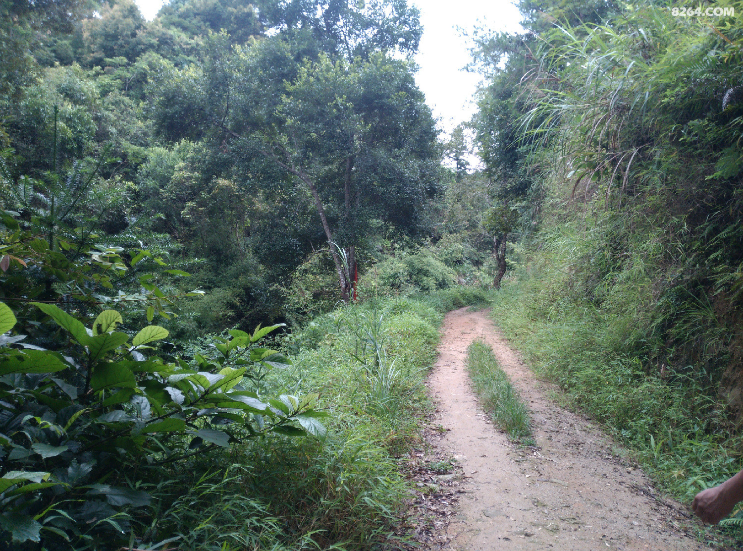 IMG_20140816_095614.jpg