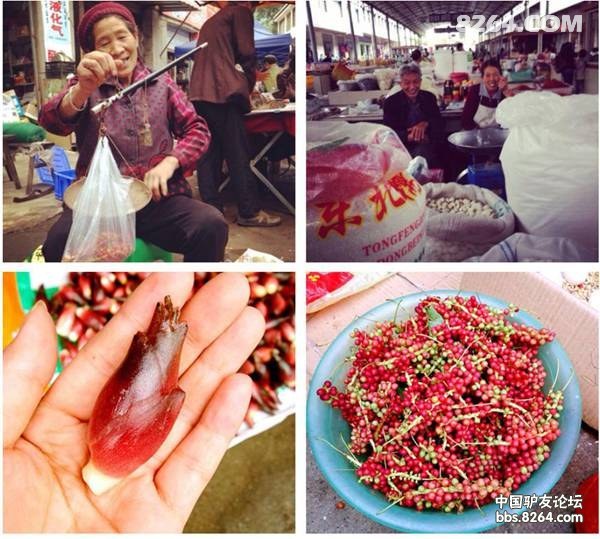 ͼƬ10.jpg