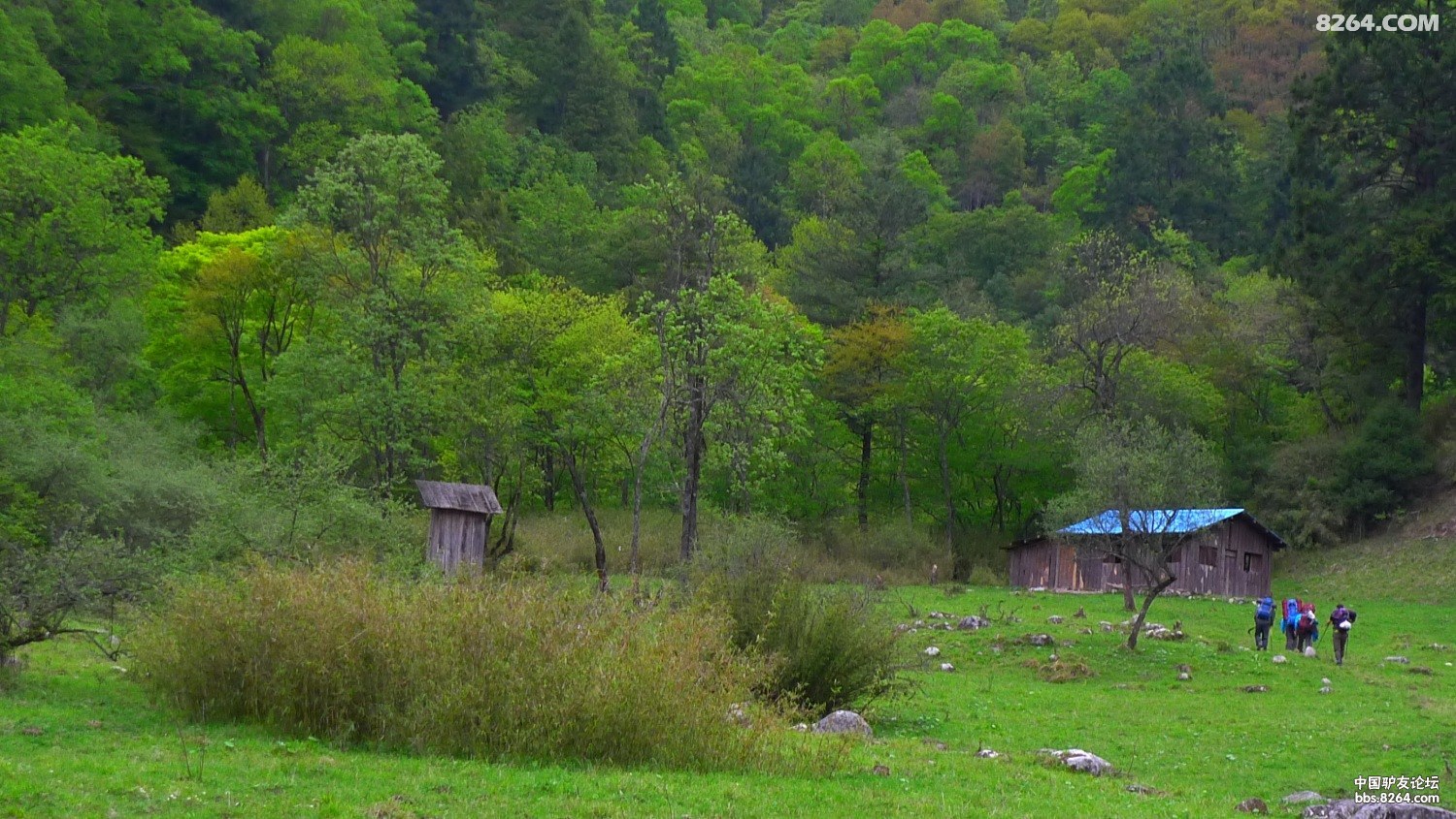 P1180072.JPG
