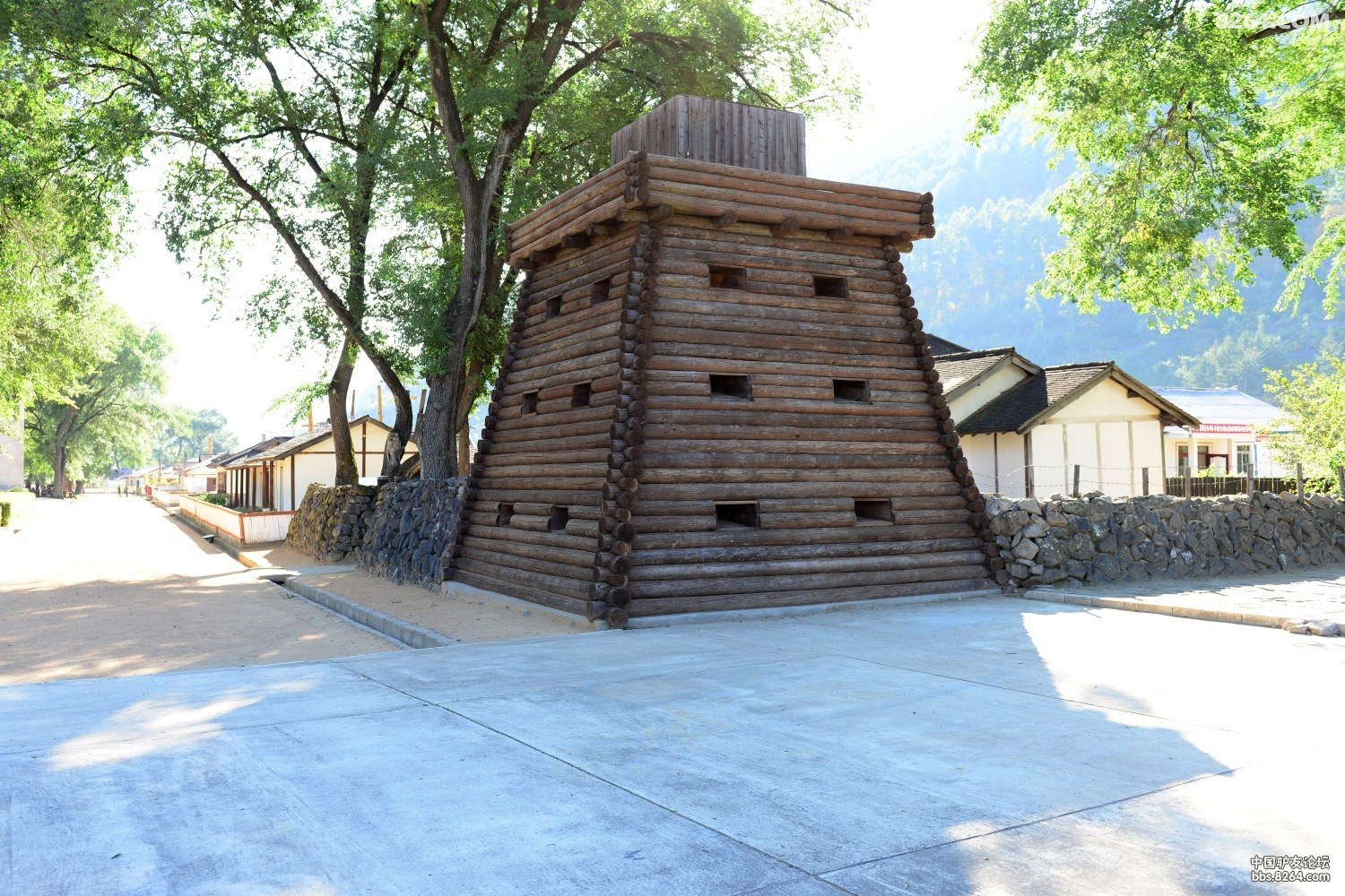 DSC_6678.jpg