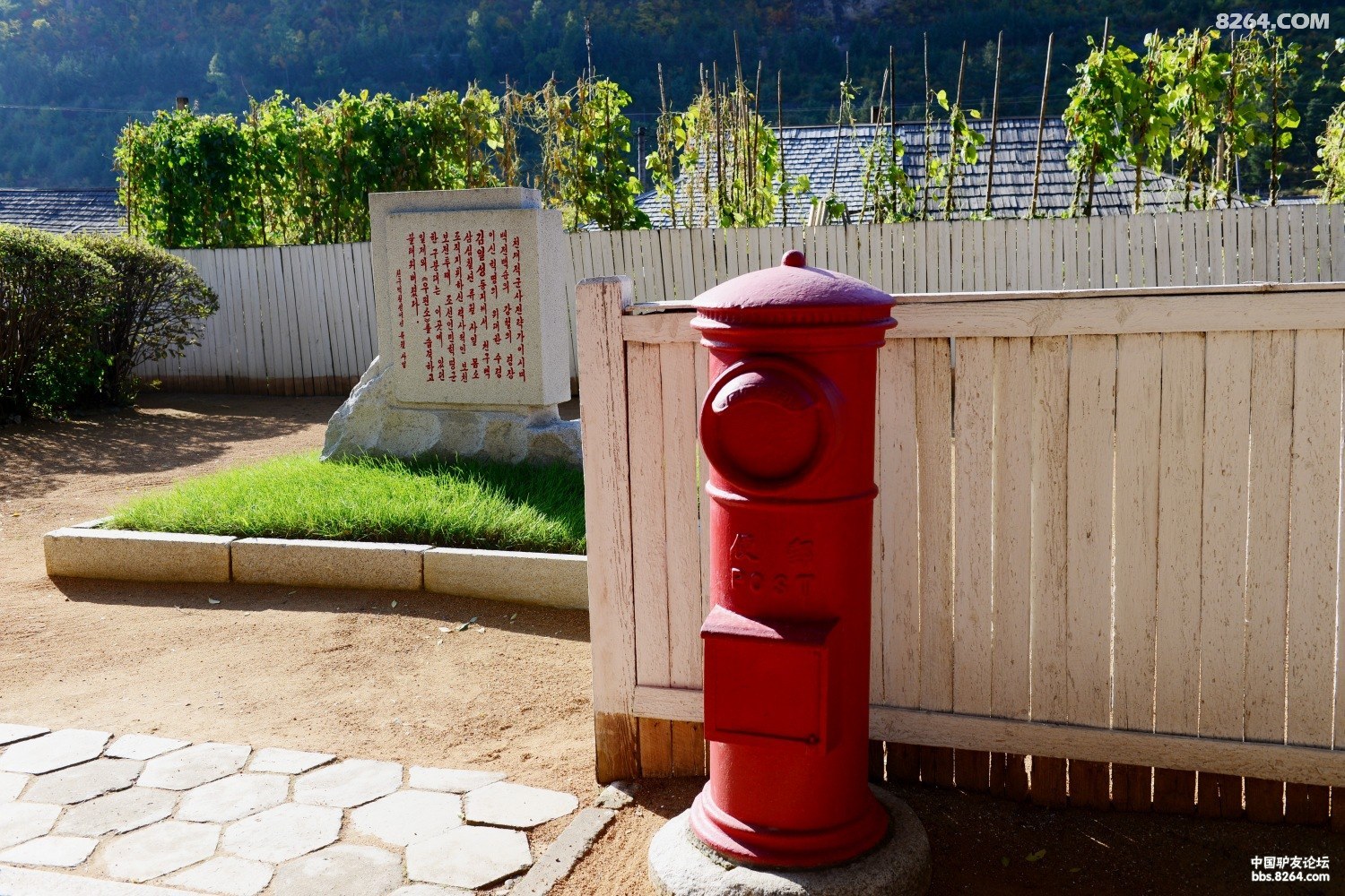 DSC_6690.jpg