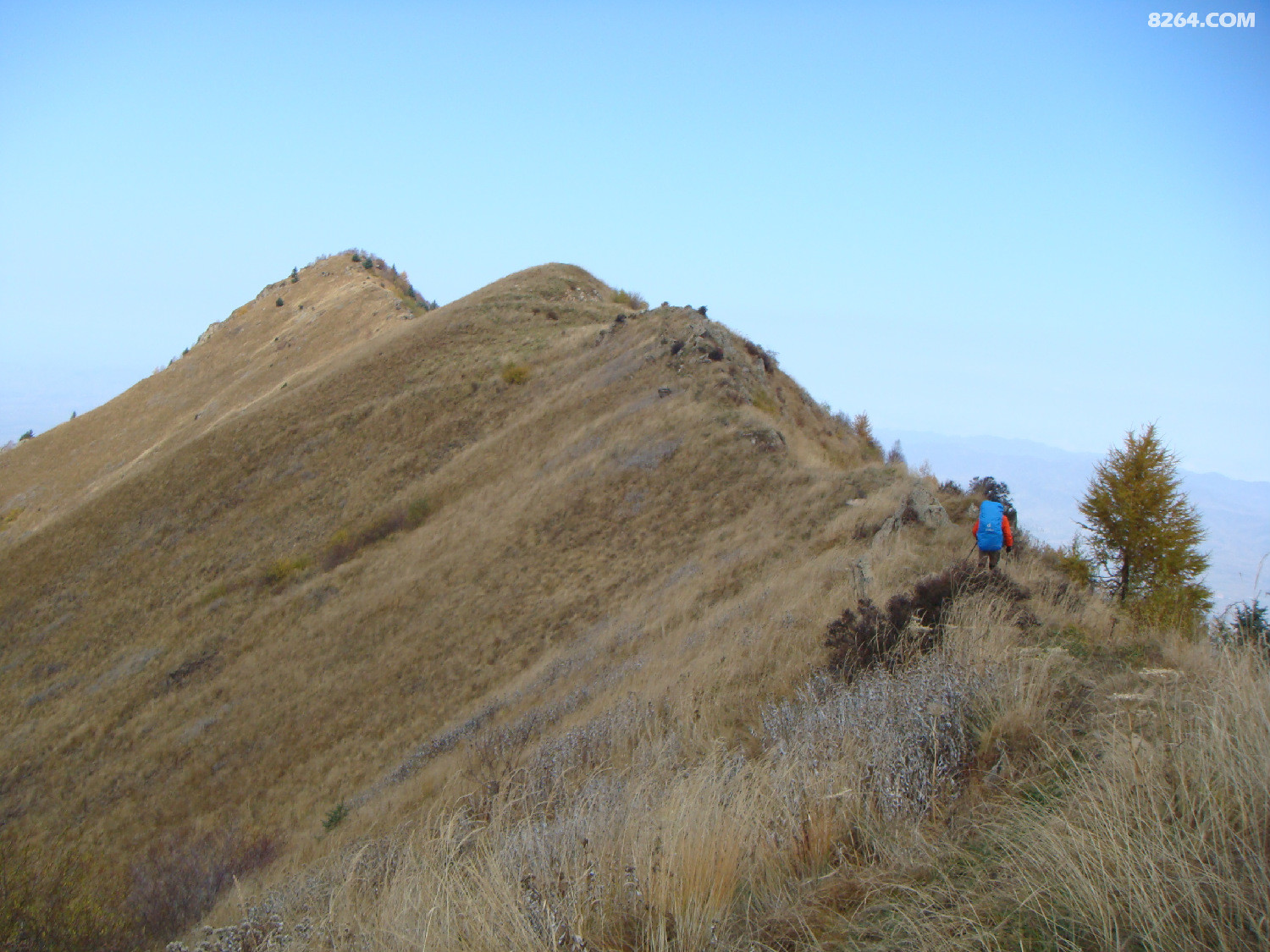 DSC06953.JPG