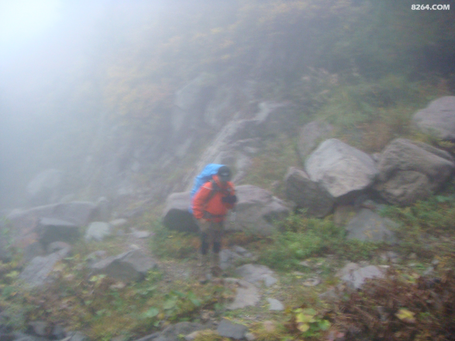 DSC06875.JPG