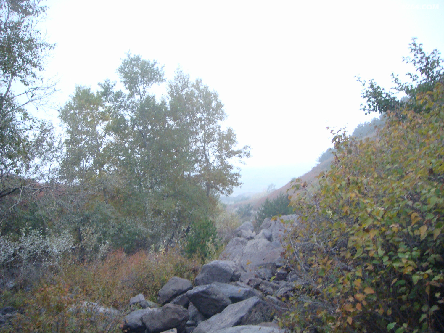 DSC06872.JPG