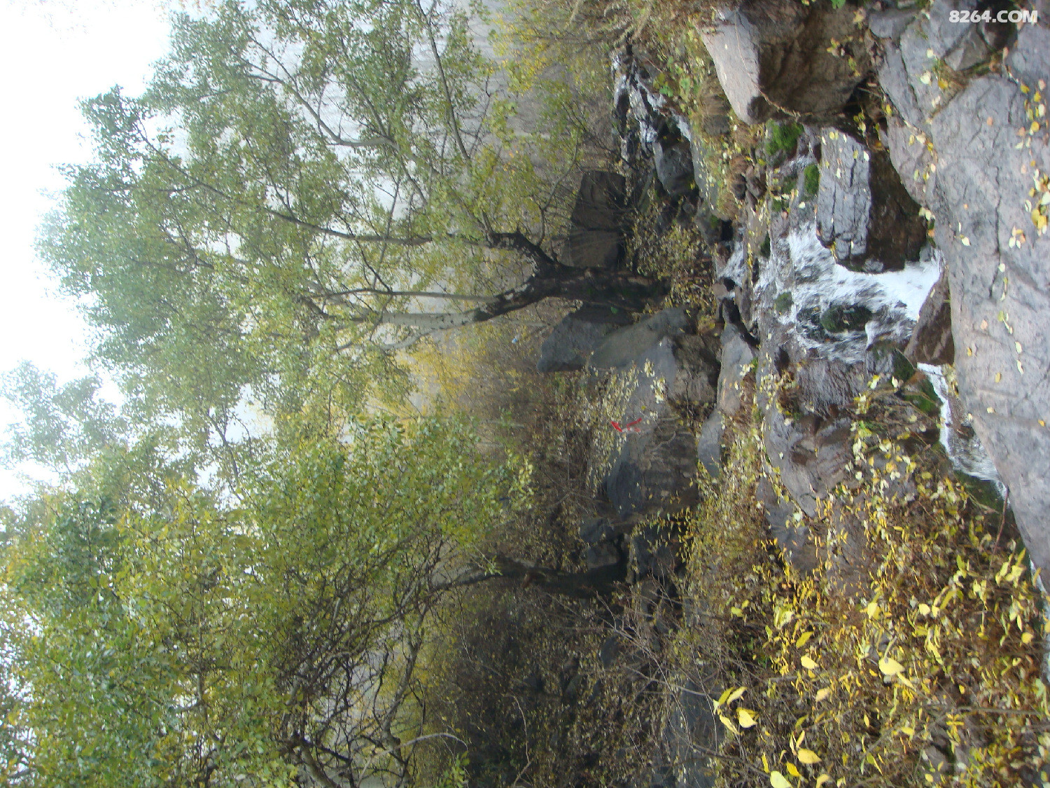 DSC06884.JPG