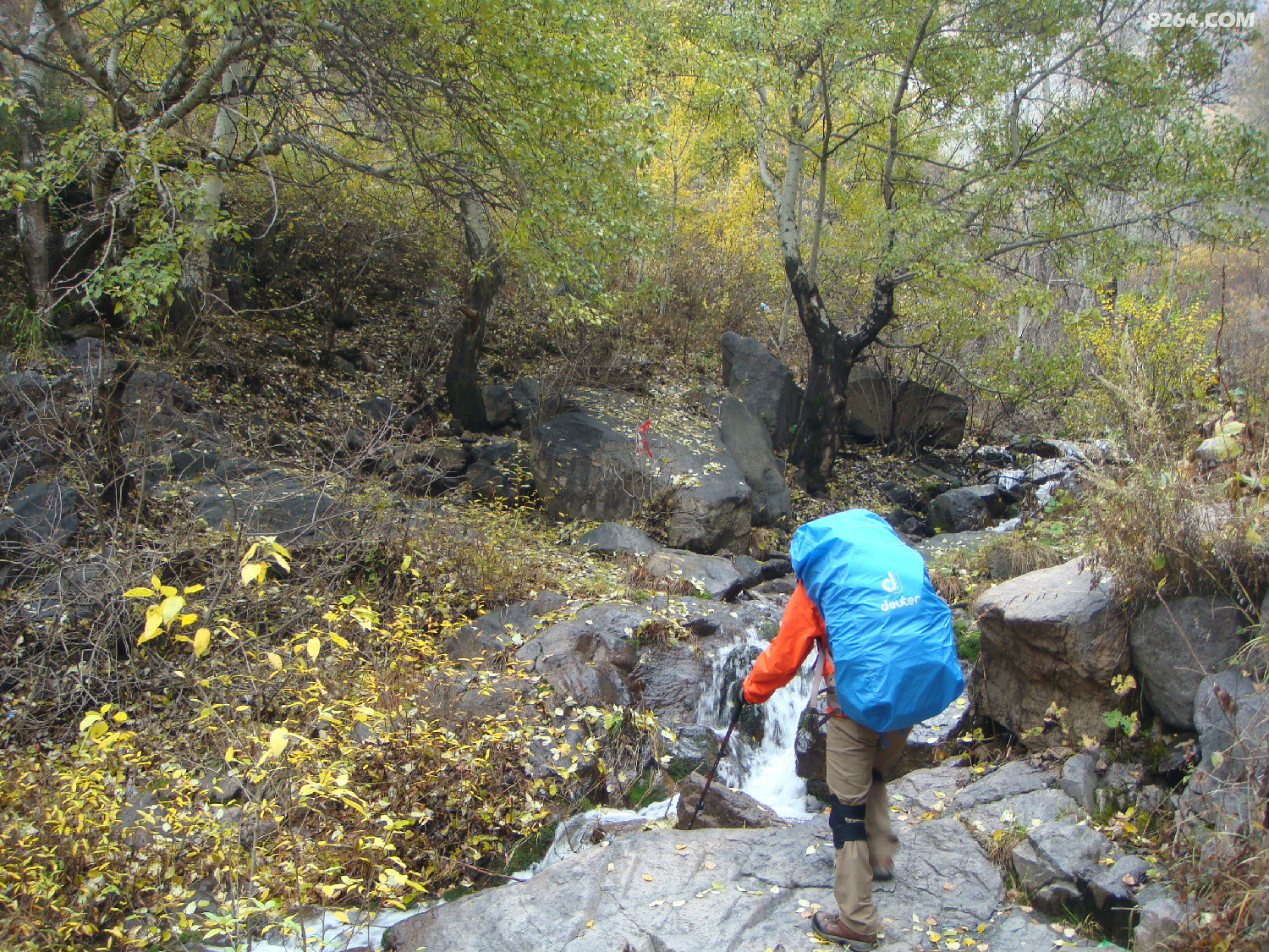 DSC06885.JPG