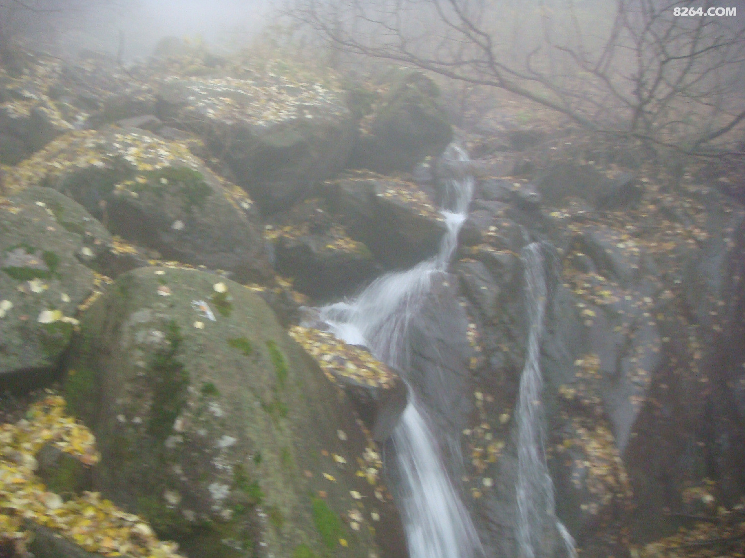 DSC06891.JPG