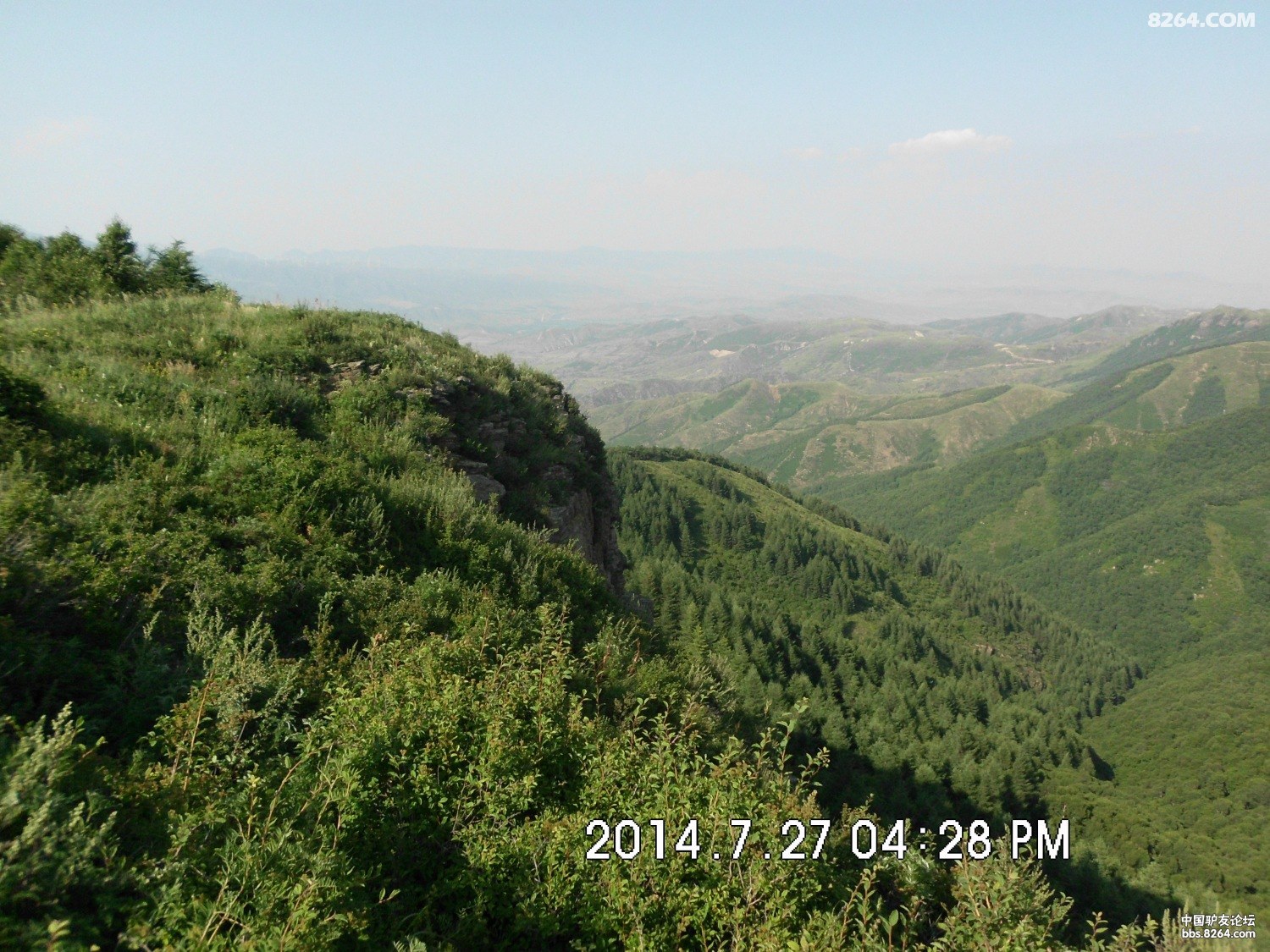 SANY1273.JPG