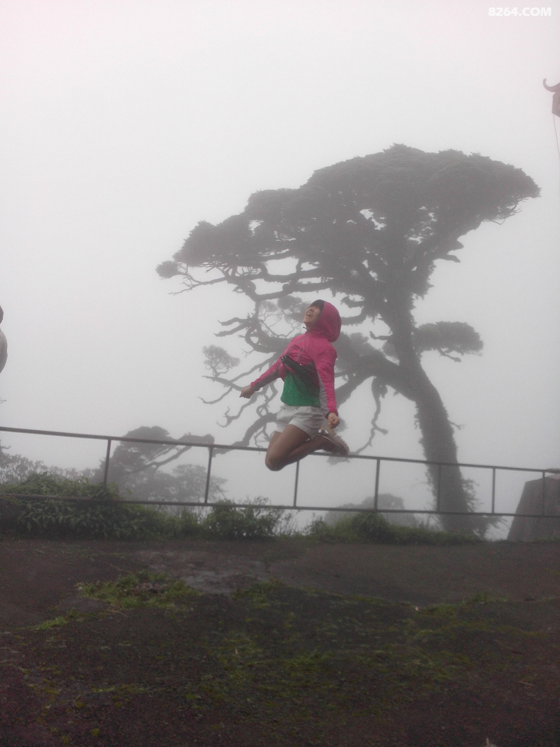 IMG20140511119.jpg