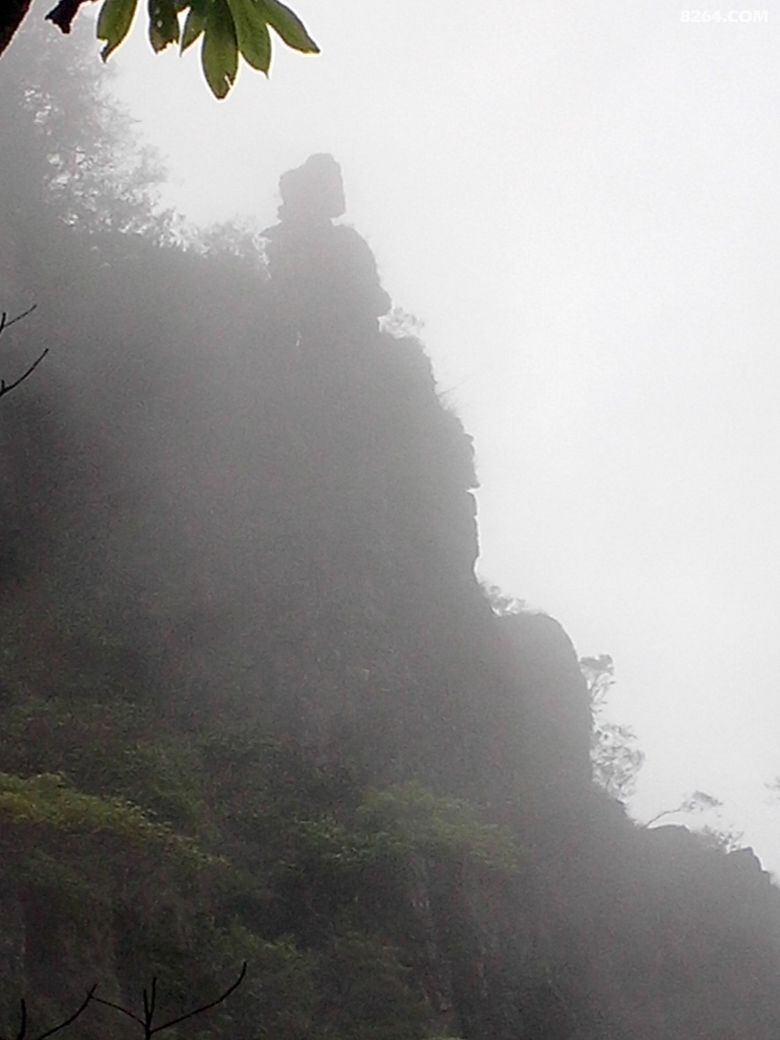 IMG20140511030.jpg