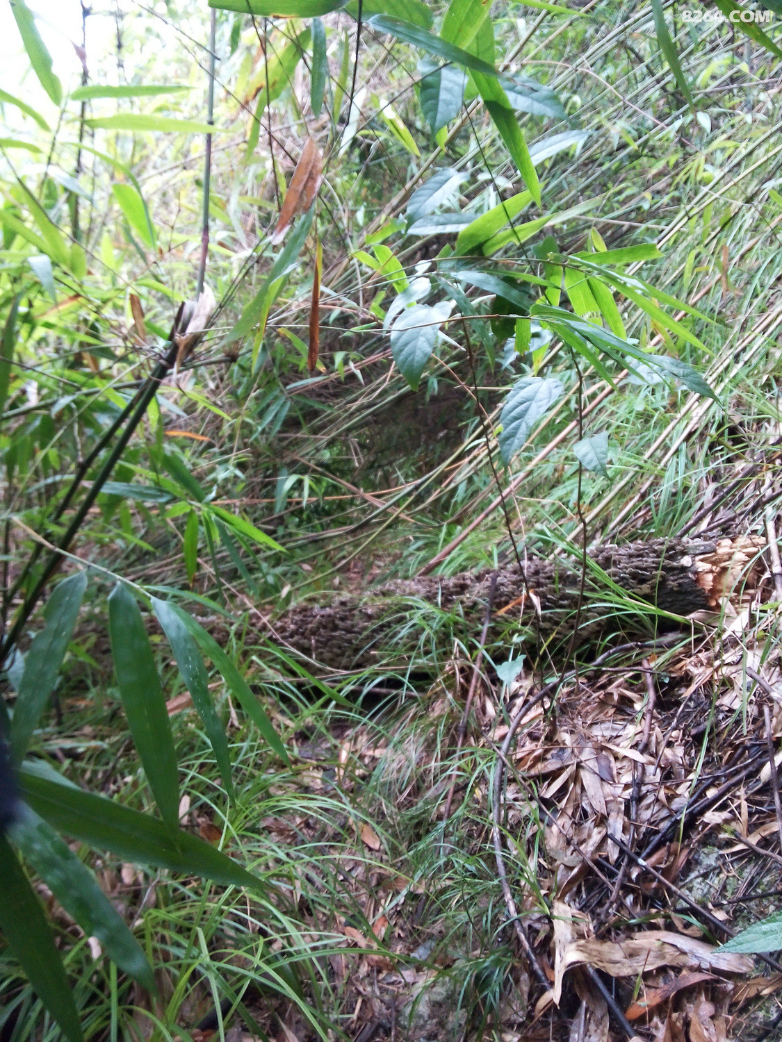 �½��ļ��� (3)IMG_20140929_105656.jpg