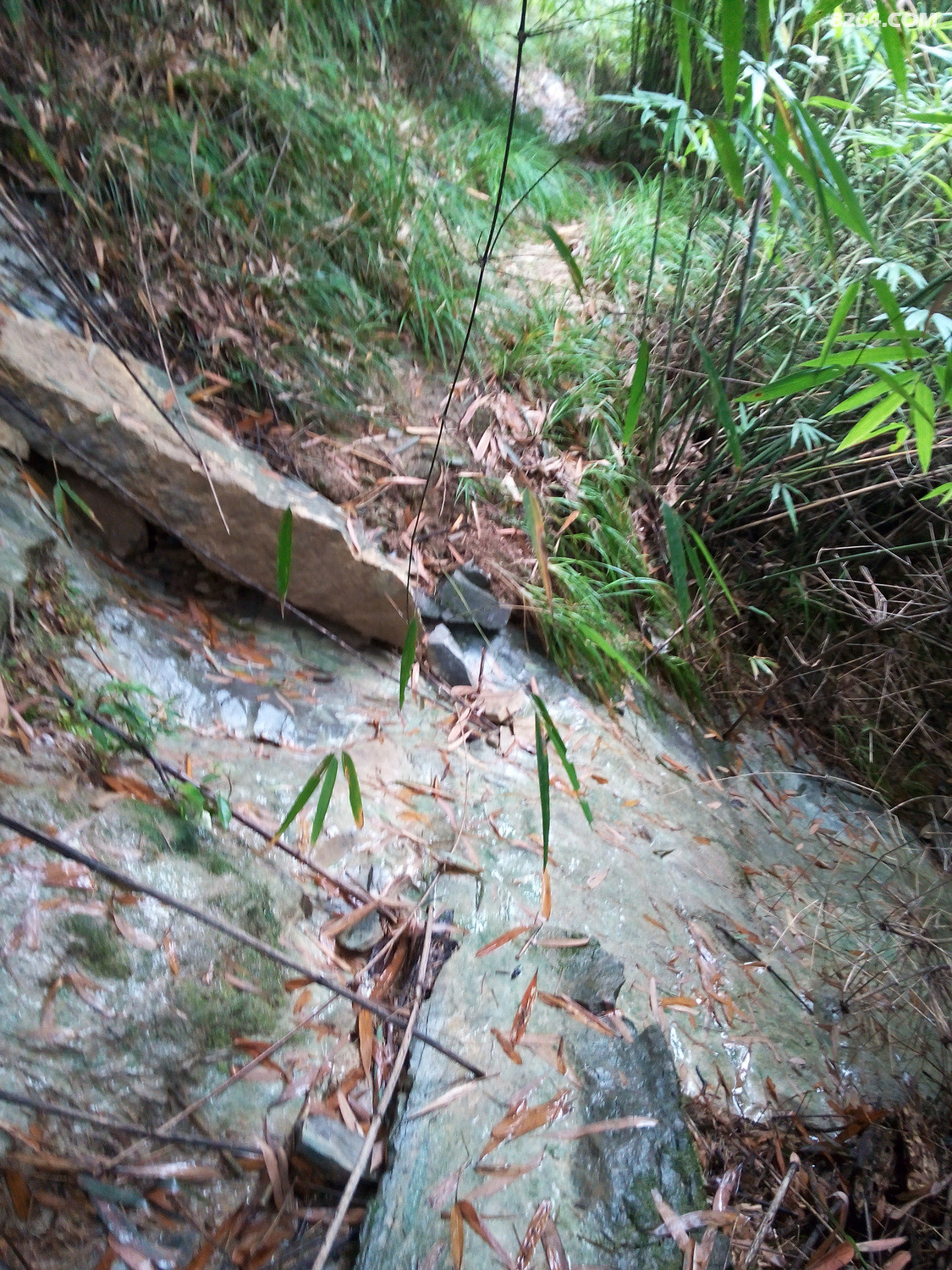 �½��ļ��� (3)IMG_20140929_104605.jpg