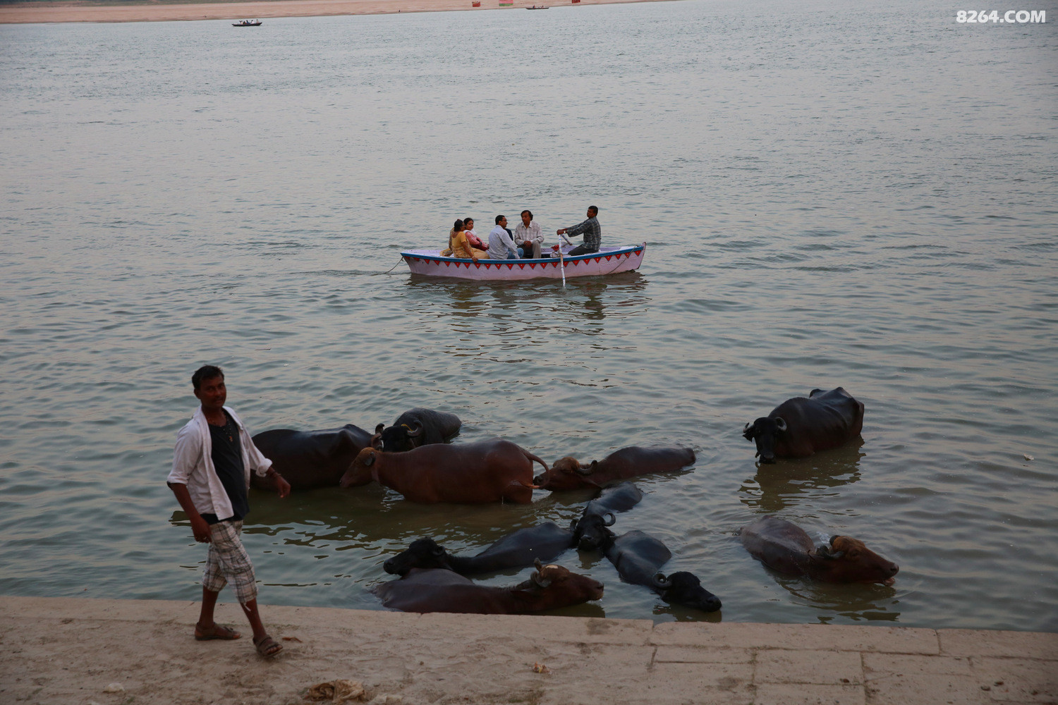 瓦拉纳西恒河夜祭和恒河晨浴