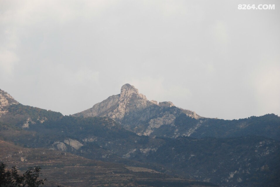 01.jpg